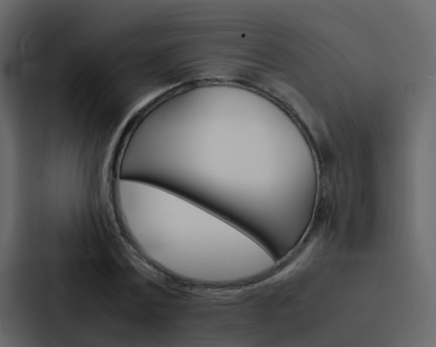 X0000088130779200705140956
