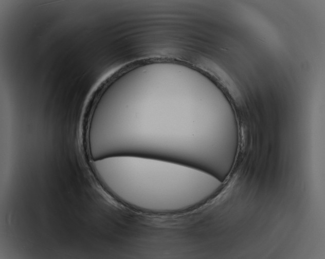 X0000088130780200705140956
