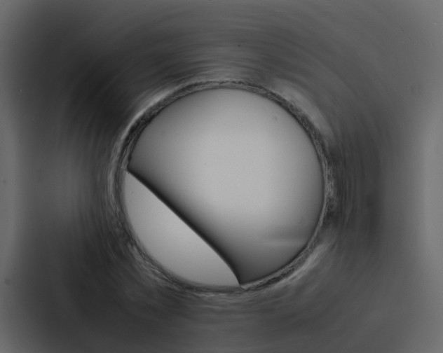 X0000088130781200705140956