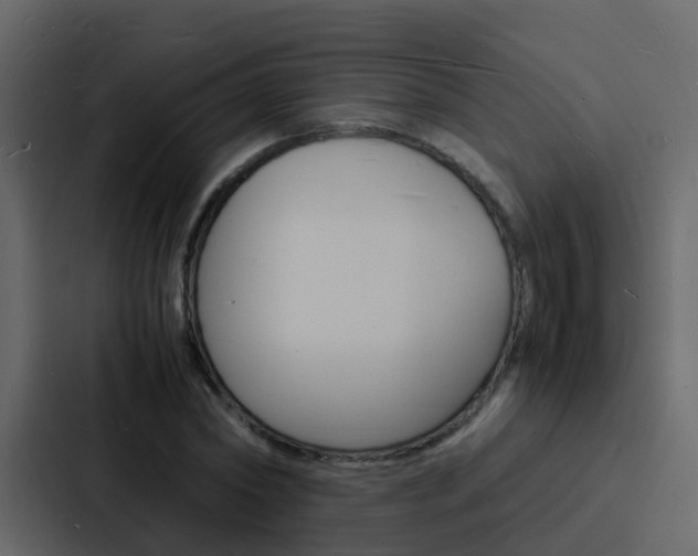 X0000088130782200705140956