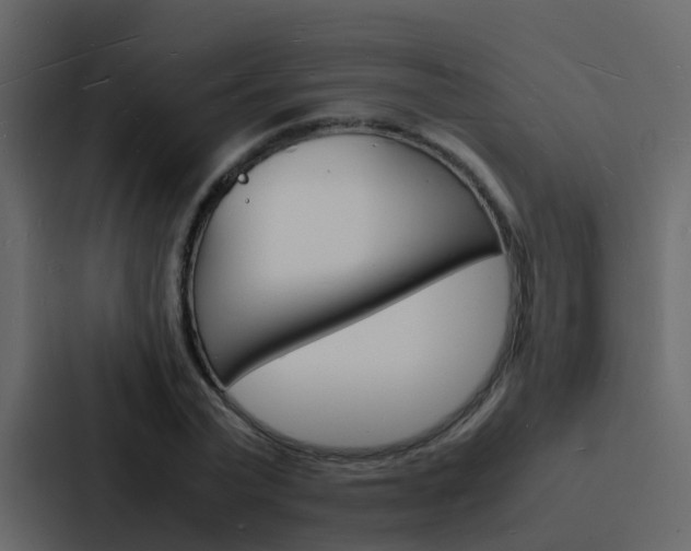 X0000088130783200705140956