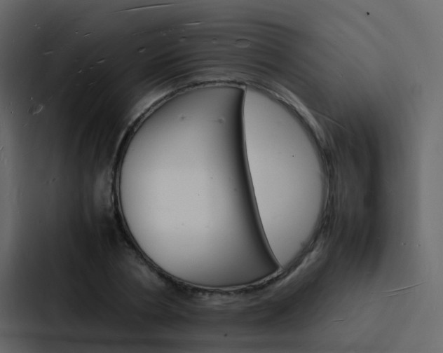 X0000088130786200705140956