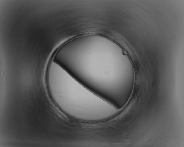 X0000088130787200705140956