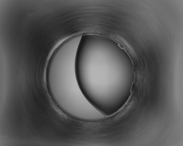 X0000088130788200705140956