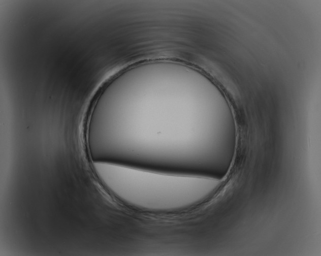 X0000088130789200705140956