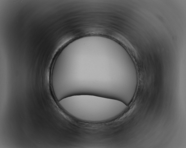 X0000088130790200705140956