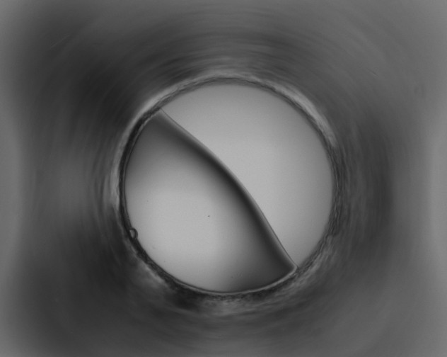 X0000088130791200705140956