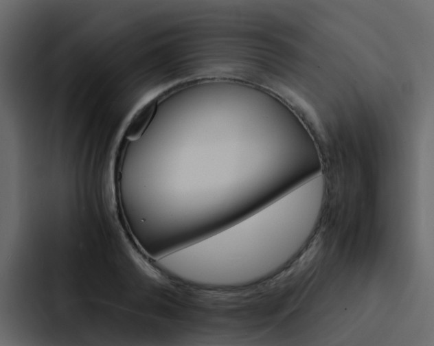 X0000088130792200705140956