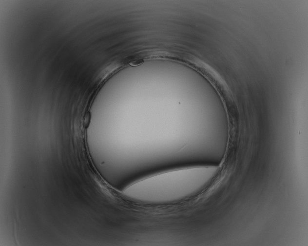 X0000088130793200705140956