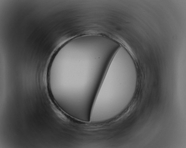 X0000088130795200705140956