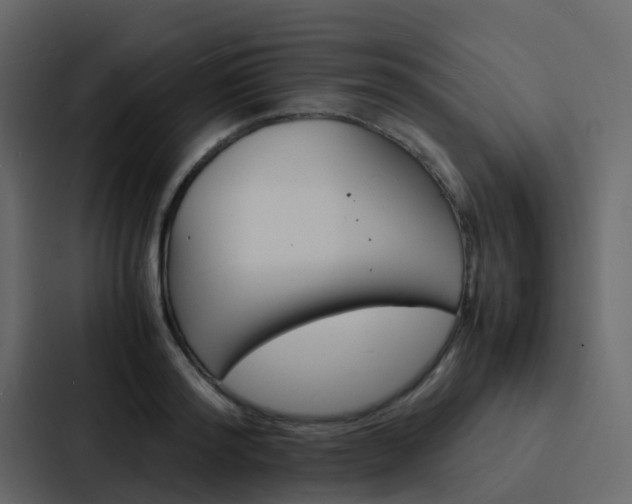 X0000088130796200705140956