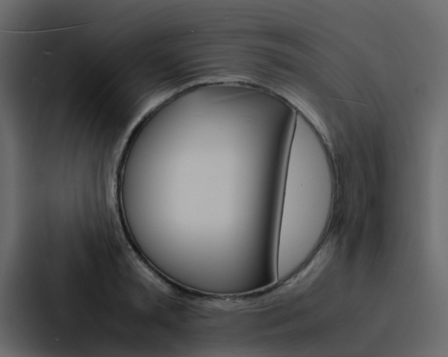 X0000088130797200705140956