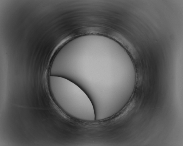 X0000088130798200705140956