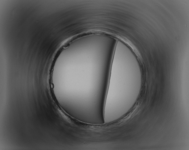 X0000088130799200705140956