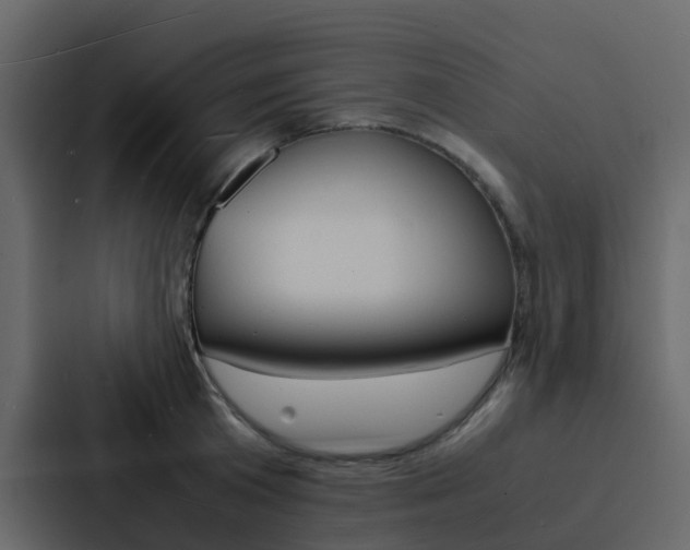 X0000088130801200705140956