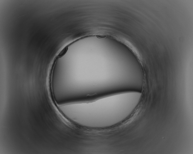X0000088130803200705140956