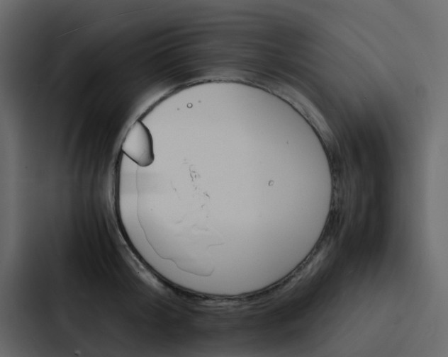 X0000088130804200705140956