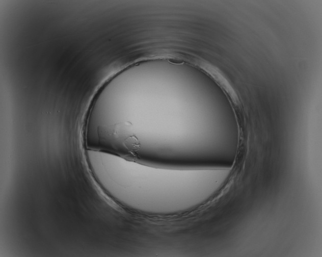 X0000088130805200705140956