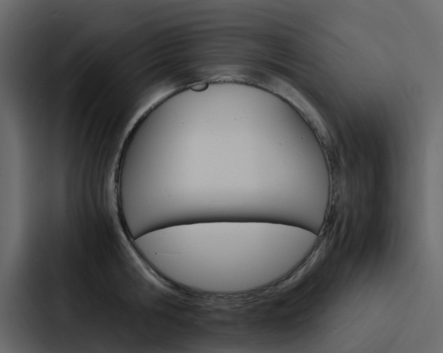 X0000088130806200705140956