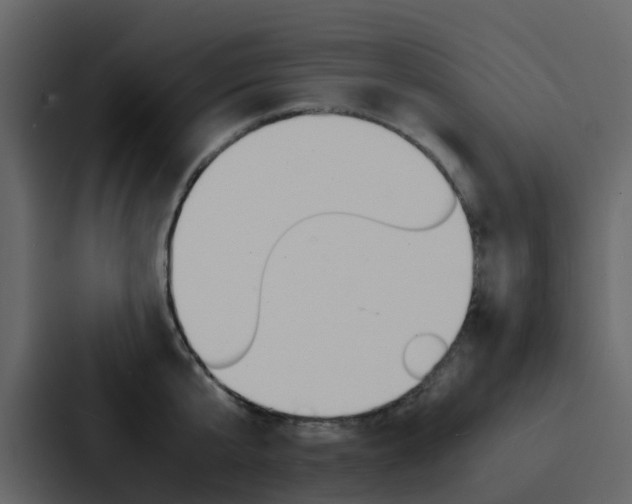 X0000088130807200705140956
