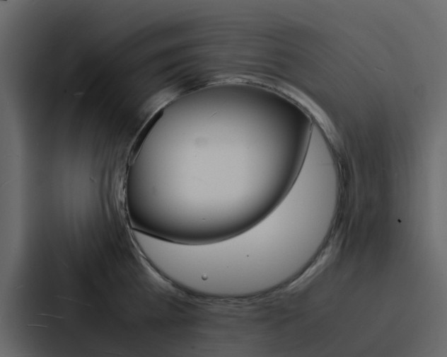 X0000088130809200705140956