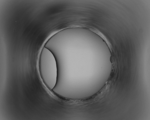 X0000088130811200705140956