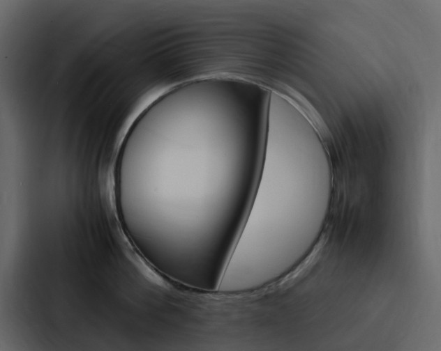 X0000088130812200705140956