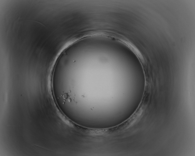 X0000088130813200705140956