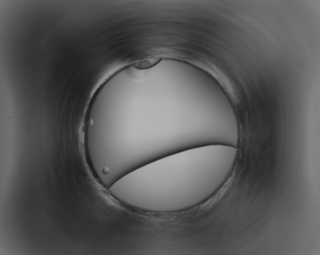 X0000088130814200705140956