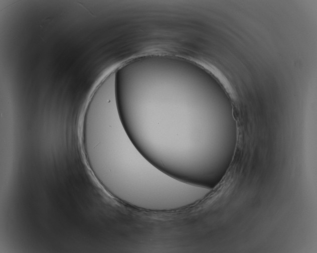 X0000088130815200705140956