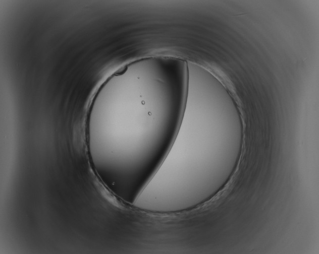 X0000088130816200705140956