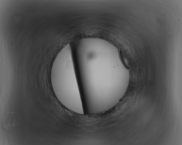 X0000088130817200705140955