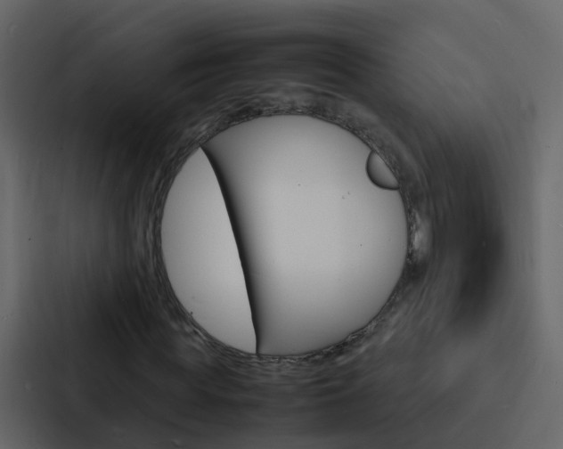X0000088130819200705140955