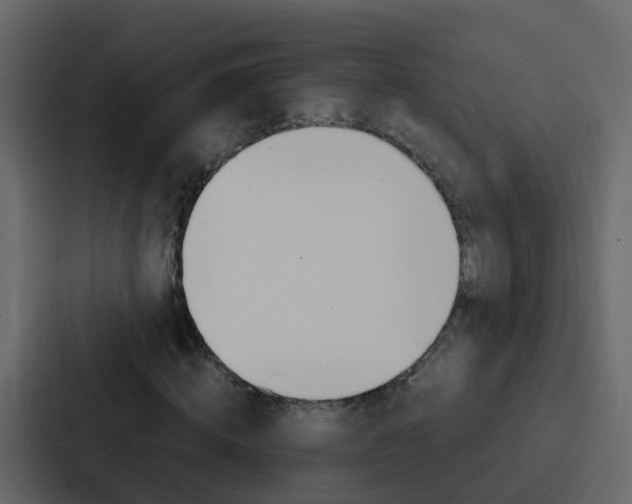 X0000088130820200705140955