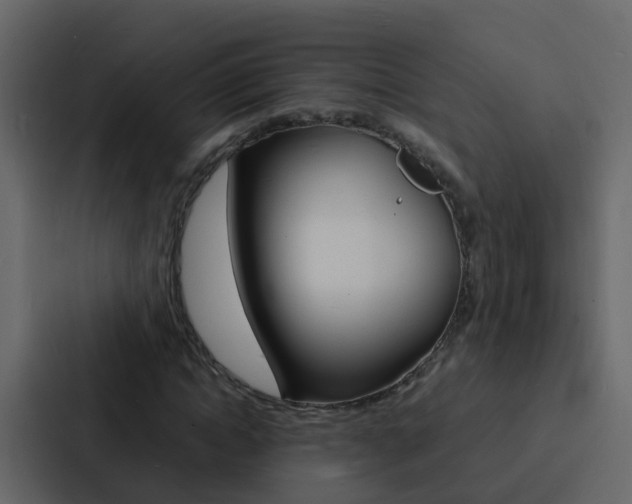 X0000088130822200705140955