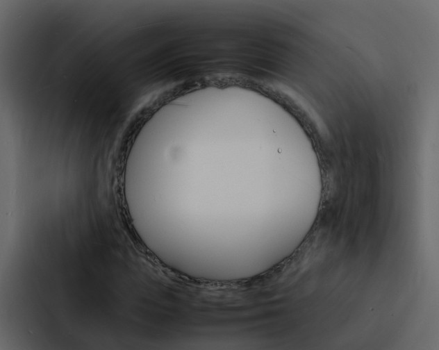 X0000088130823200705140955