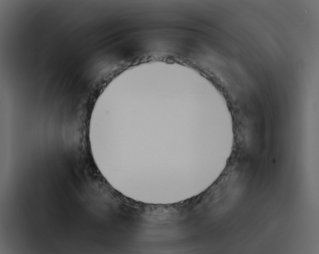 X0000088130824200705140955