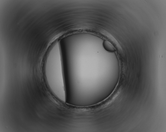 X0000088130826200705140955