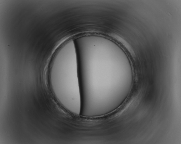 X0000088130829200705140955