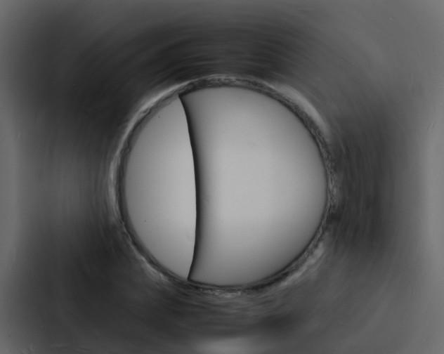 X0000088130831200705140955