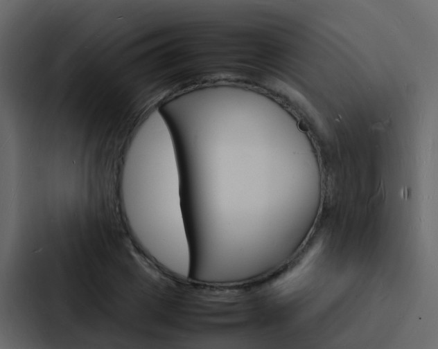 X0000088130833200705140955