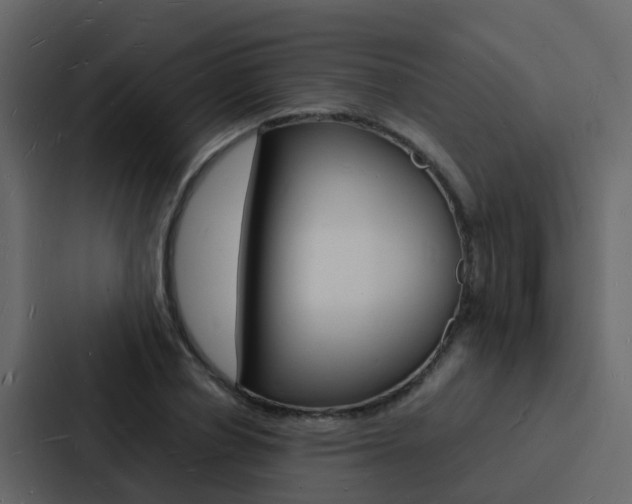 X0000088130834200705140955