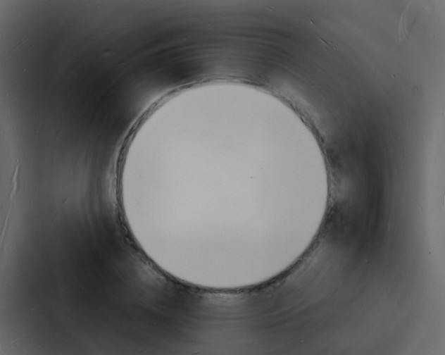 X0000088130836200705140955