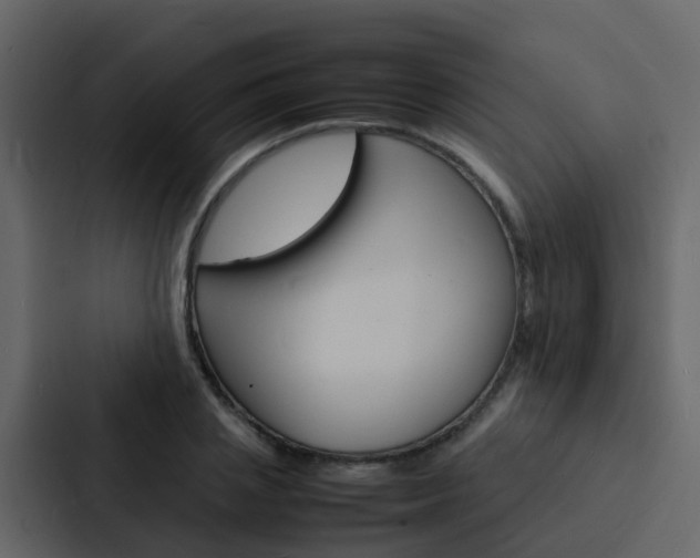 X0000088130837200705140955