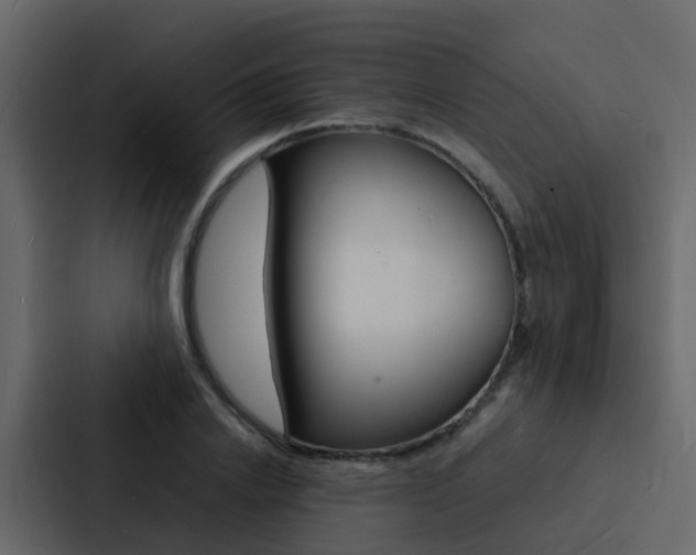 X0000088130838200705140955