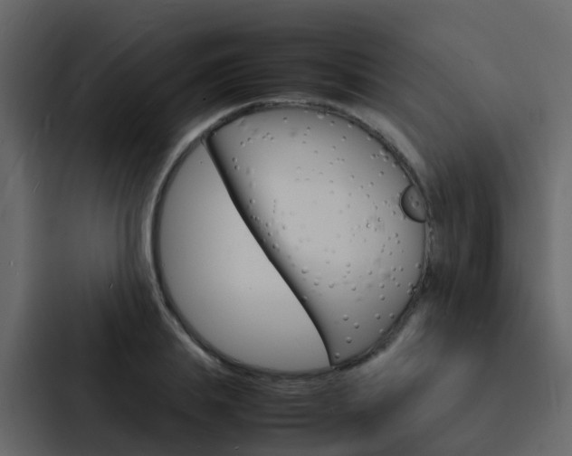 X0000088130839200705140955