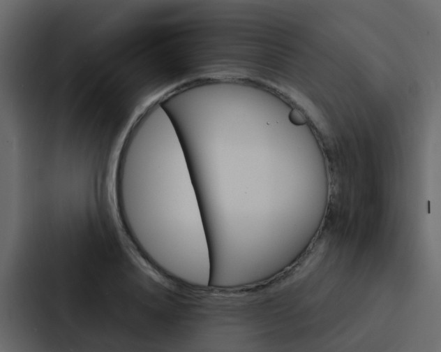 X0000088130840200705140955