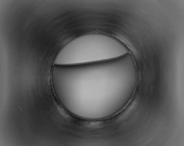 X0000088130841200705140955