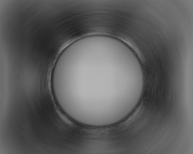 X0000088130842200705140955