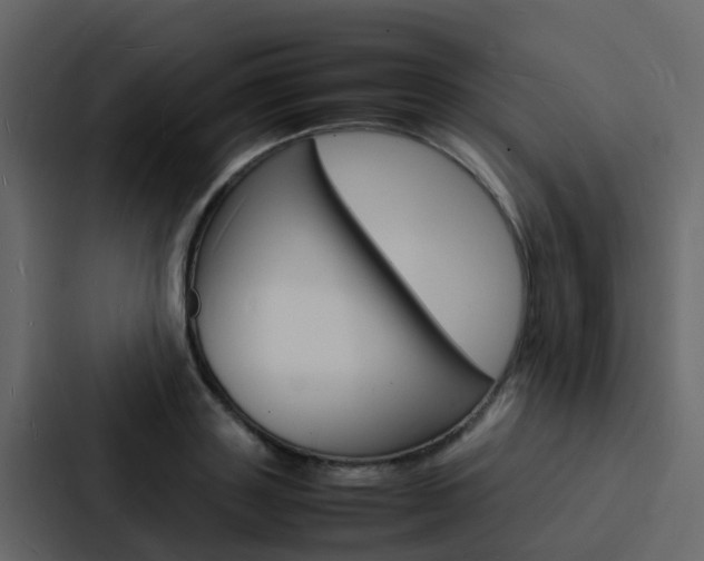 X0000088130843200705140955